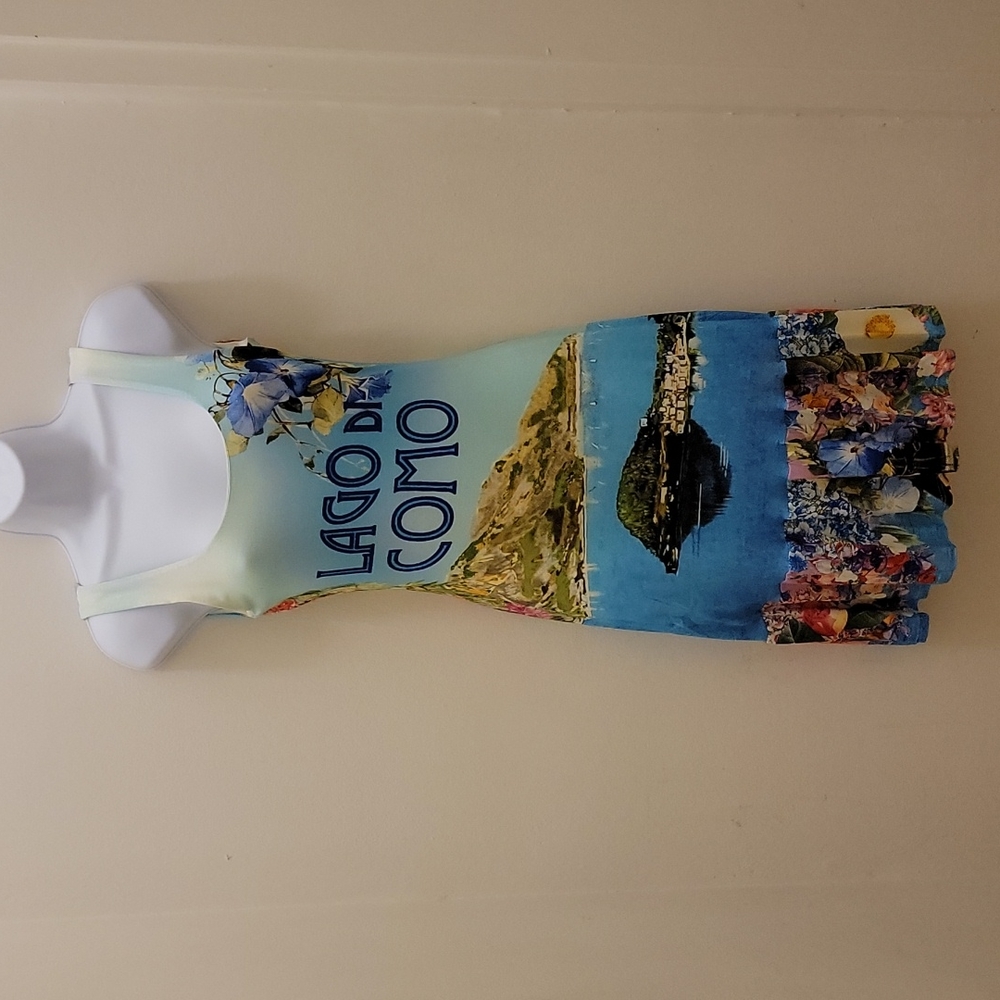 Sauvage Lago Di Como Graphic Dress